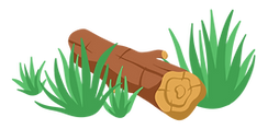 Log and grass